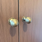 Wooden cabinet doors with brass handles